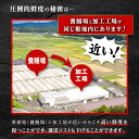 【ふるさと納税】うなぎ 総合ランキング1位獲得 配送月が選べる 長蒲焼 2尾 330g | ふるさと納税 うなぎ 高級 ウナギ 鰻 国産 蒲焼 蒲焼き たれ 鹿児島 大隅 大崎町 ふるさと 人気 送料無料 3