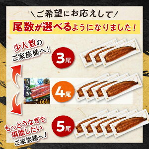 【ふるさと納税】うなぎ 総合ランキング 1位 獲得 鰻 長蒲焼 | ふるさと納税 うなぎ 高級 ウナギ 鰻 国産 蒲焼 蒲焼き たれ 鹿児島 大隅 大崎町 ふるさと 人気 送料無料