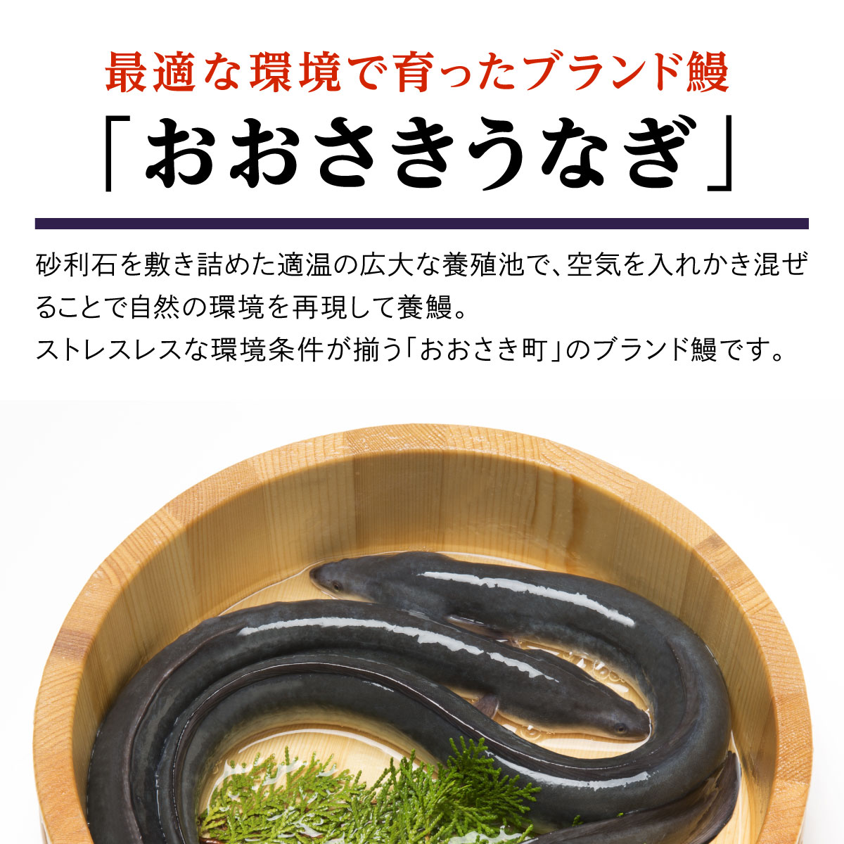 鹿児島県大崎町の画像3