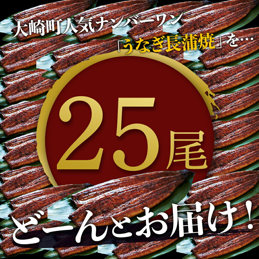 【ふるさと納税】どーんとお届け！特大25尾　鹿児島県産長蒲焼 | 鹿児島 大崎町 鰻 うなぎ ウナギ 国産 蒲焼 たれ