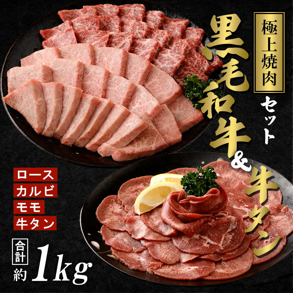 極上 A5 焼肉 セット 黒毛 和牛 霜降 赤身 & 牛タン 計1kg | ふるさと納税 牛肉 高級 黒毛和牛 和牛 牛 詰め合わせ モモ肉 ロース カルビ 焼肉 焼き肉 タン A5ランク 極上 霜降り A5等級 鹿児島 大崎町 ふるさと 人気