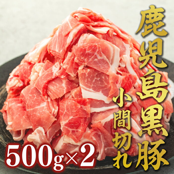 【ふるさと納税】豚小間切れ 500g×2 | 小間切れ こま