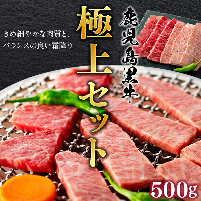 鹿児島黒牛 ( 焼肉 ) 極上セット 500g 1パック | ふるさと納税 焼肉 焼き肉 牛肉 セット 霜降り肉 鹿児島県産 鹿児島県大崎町