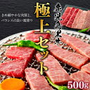 【ふるさと納税】 鹿児島黒牛 焼肉 極上セット 500g 1パック | ふるさと納税 焼肉 焼き肉 牛肉 セット 霜降り肉 鹿児島県産 鹿児島県大崎町