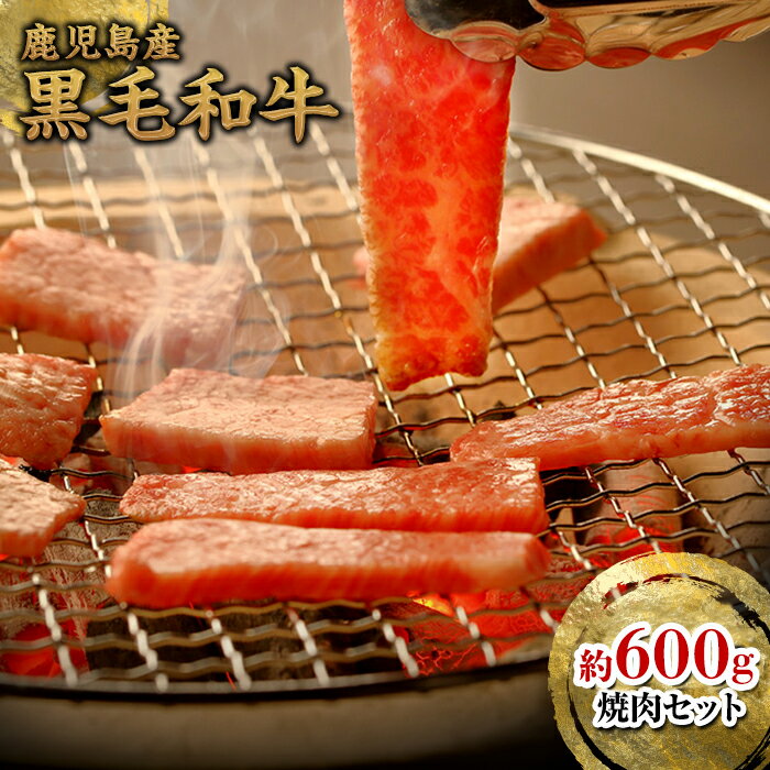 【ふるさと納税】 鹿児島黒牛 焼肉用 600g セット | ふるさと納税 黒毛和牛 和牛 国産和牛 国産牛肉 牛 肉 お肉 精肉 焼肉 焼き肉 バーベキュー BBQ 焼き肉セット モモ肉 バラ肉 ウデ肉 カタ肉 厚切り肉 特産品 名産品 鹿児島 鹿児島県 鹿児島県大崎町