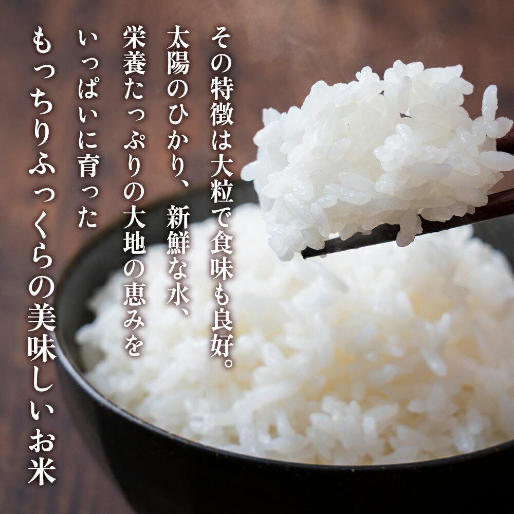 鹿児島県大崎町の画像3