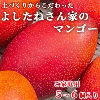 ・ふるさと納税よくある質問はこちら ・寄付申込みのキャンセル、返礼品の変更・返品はできません。あらかじめご了承ください。 ・ご要望を備考に記載頂いてもこちらでは対応いたしかねますので、何卒ご了承くださいませ。 ・寄付回数の制限は設けておりません。寄付をいただく度にお届けいたします。 商品詳細 名称 よしたねさん家のマンゴー「ご家庭用5個～6個」 商品概要 【数量限定】【大好評につき少量セットをご用意】 鹿児島県生産量一位の大崎町で，土づくりから拘りマンゴー育成に定評のある「まるよしファーム」の善種（よしたね）さん。ふるさと納税用に数量限定ながらご家庭用にたっぷり段ボールに詰める程度の数量をご用意していただきました。出荷用（贈答用）のマンゴーに比べ，色や大きさが不揃いとなったマンゴーですが，品質は全く変わらないマンゴーです。まるよし農園から直送いたします。到着後3日以内が食べごろとなります。 ※ご家庭用ですので化粧箱での発送はできません。 ※発送は2024年5月中旬～7月下旬まで。（収穫時期により前後します） ※受付期間内でも在庫が無くなり次第終了致します。 生産地 鹿児島県 内容量 品種：アーウィン種（通称アップルマンゴー）サイズ：不揃い（300グラム前後5～6個入）　糖度：16度以上（凡そ18度～20度） 賞味期限 発送後10日前後 配送方法 冷蔵 発送は2024年5月中旬～7月下旬ごろまで。天候の影響で収穫量・収穫時期が遅れた場合、発送が遅れる場合があります。 提供元 事業者　：よしたねさんのマンゴー畑 連絡先　：099-476-2846「ふるさと納税」寄付金は、下記の事業を推進する資金として活用してまいります。 寄付を希望される皆さまの想いでお選びください。 （1）菜の花エコプロジェクト等環境施策 （2）白砂青松等の観光・スポーツ施策 （3）未来を担う子どもを育む施策 （4）にぎわいと活力あるまちづくり施策 （5）その他、町長が必要と認める事業 特にご希望がなければ、町政全般に活用いたします。