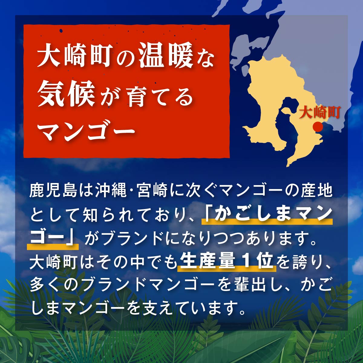 【ふるさと納税】【2024年発送】南国の恵み 完熟マンゴー 秀品約2kg | 鹿児島県 大崎町 鹿児島 大崎 鹿児島県大崎町 楽天ふるさと 納税 取り寄せ お取り寄せ フルーツ お取り寄せフルーツ ご当地 果物 くだもの マンゴー トロピカルフルーツ 支援 支援品 特産品 グルメ