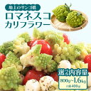 【ふるさと納税】野菜 ロマネスコカリフラワー 国産 冷凍カリフラワー 選べる内容量 | 鹿児島県産 国産カリフラワー 冷凍 カリフラワー 瞬間冷蔵 収穫 カット 緑黄色野菜 冷凍野菜 カット野菜 時短 弁当 簡単 便利 美容 お徳用 朝食 奥様 おすすめ 鹿児島県大崎町
