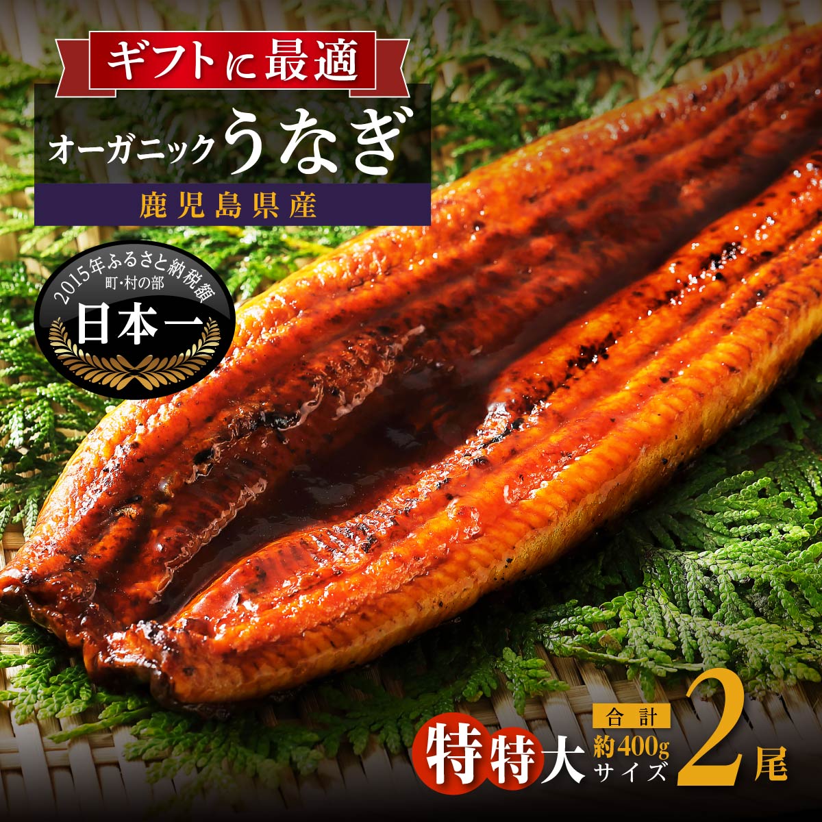 泰正オーガニックうなぎ うなぎ 長蒲焼 特特大 2尾 400g | ふるさと納税 うなぎ 高級 ウナギ 鰻 国産 蒲焼 蒲焼き たれ 鹿児島 大隅 大崎町 ふるさと 人気 送料無料