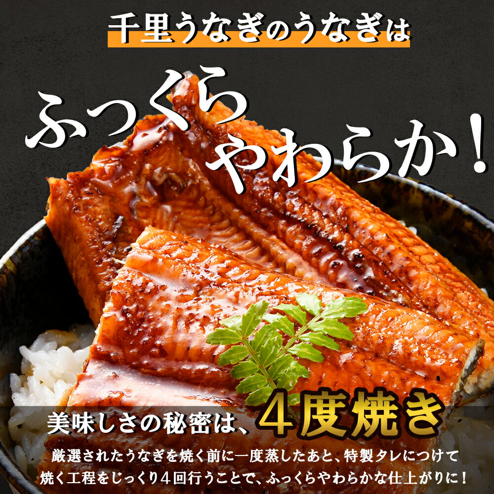 鹿児島県大崎町の画像3