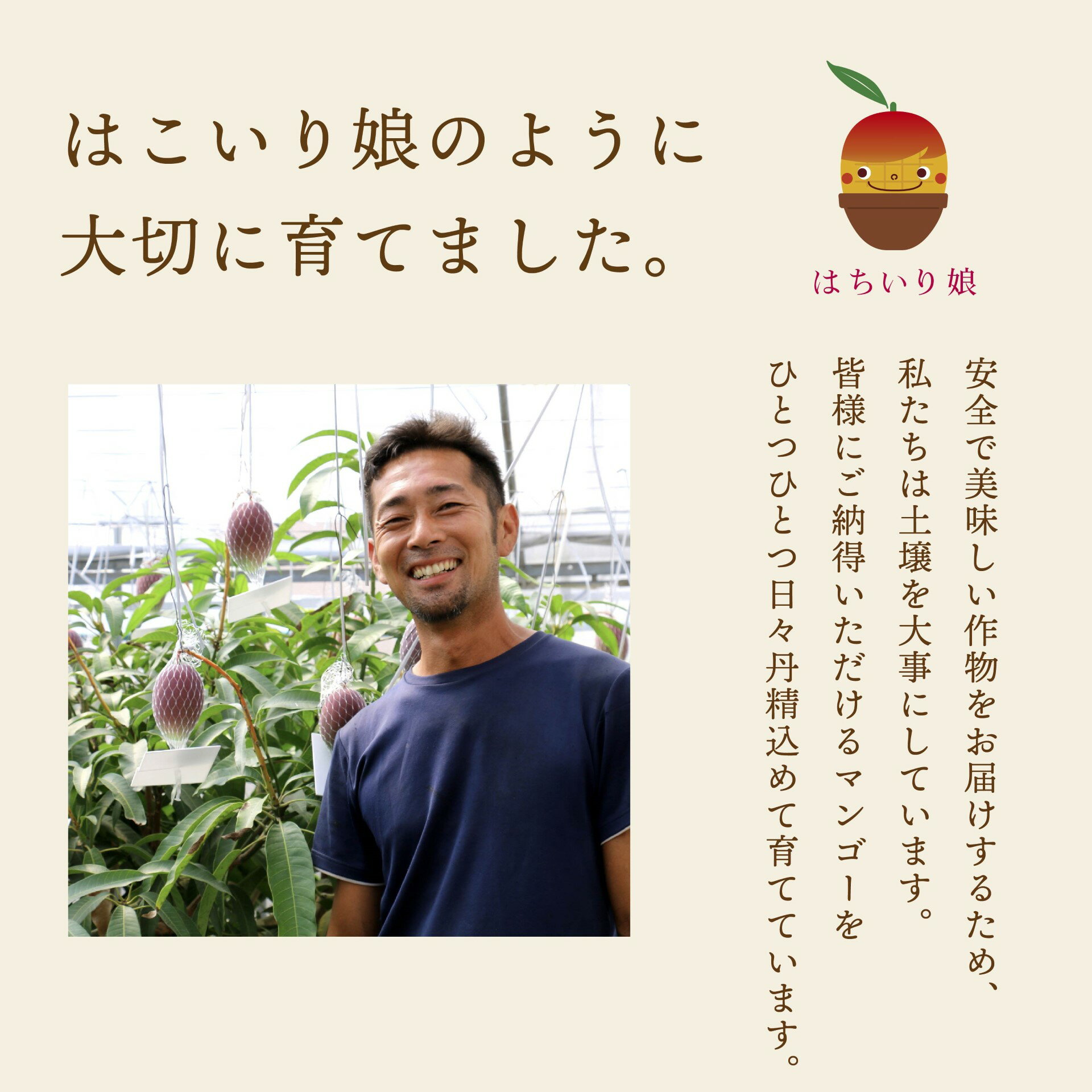 鹿児島県大崎町の画像2