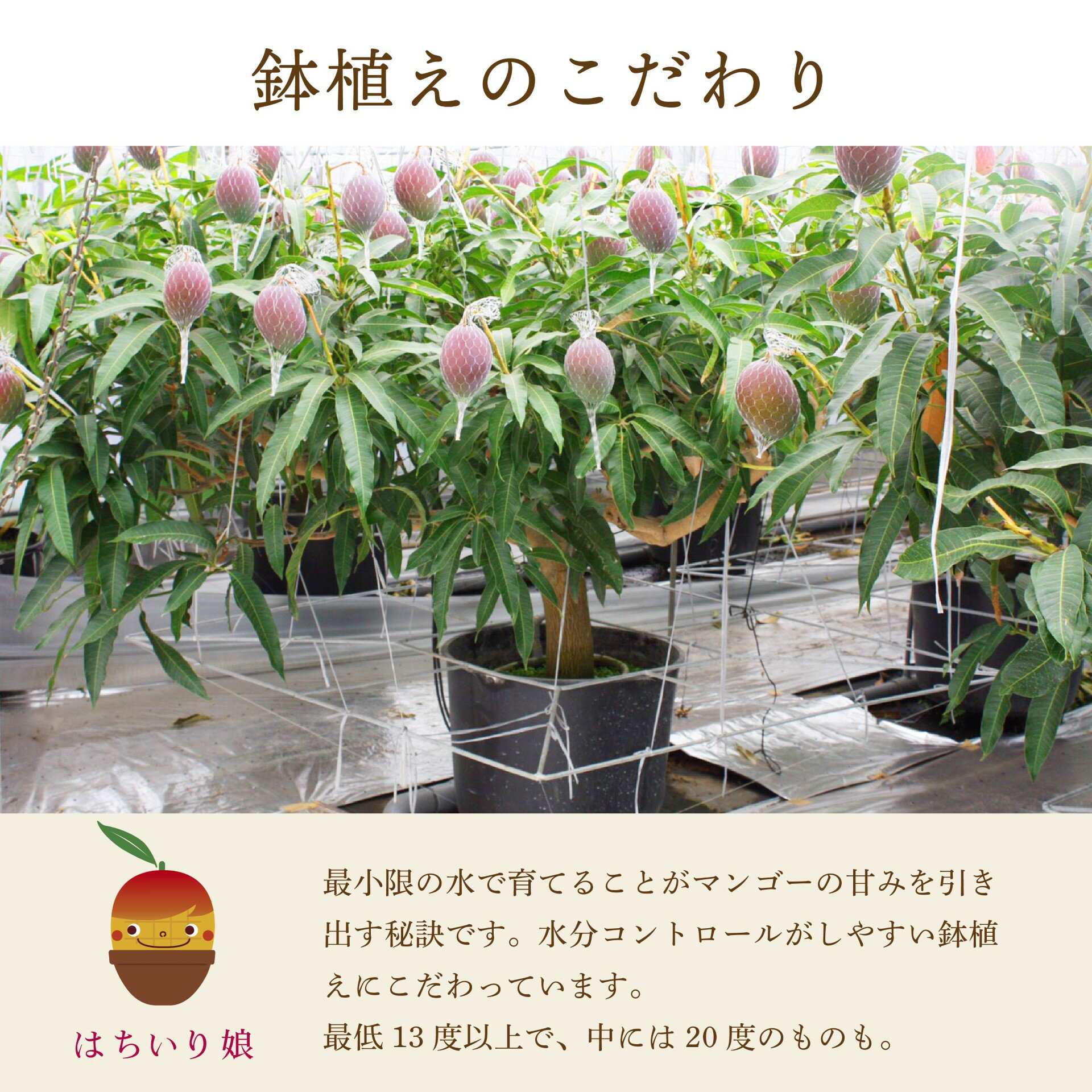 鹿児島県大崎町の画像3