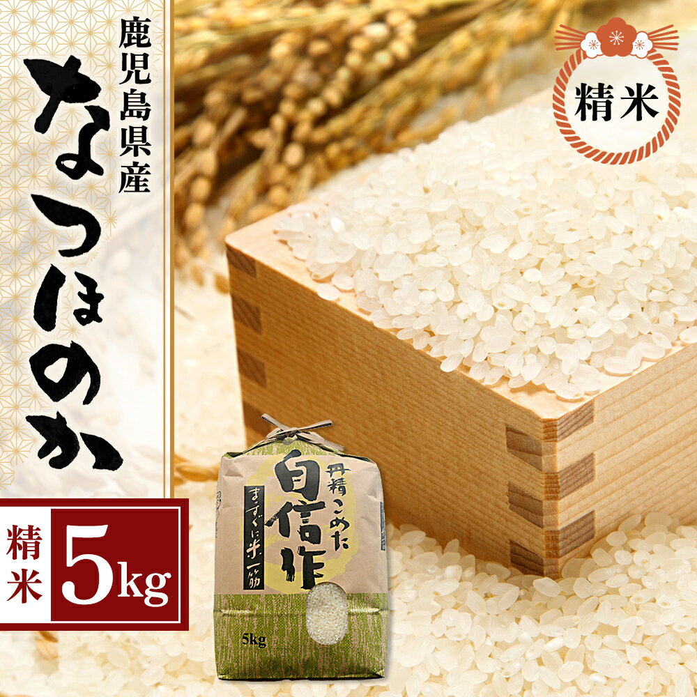 【ふるさと納税】 米 なつほのか 5kg 令和5年産 鹿児島