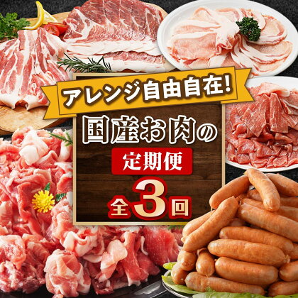 【 定期便 】 アレンジ自由自在！ 国産 お肉 の 定期便 全3回 | ふるさと納税 メンチカツ 餃子 肉まん 黒豚 豚 お手軽 簡単 時短 主婦 鹿児島県 大崎町