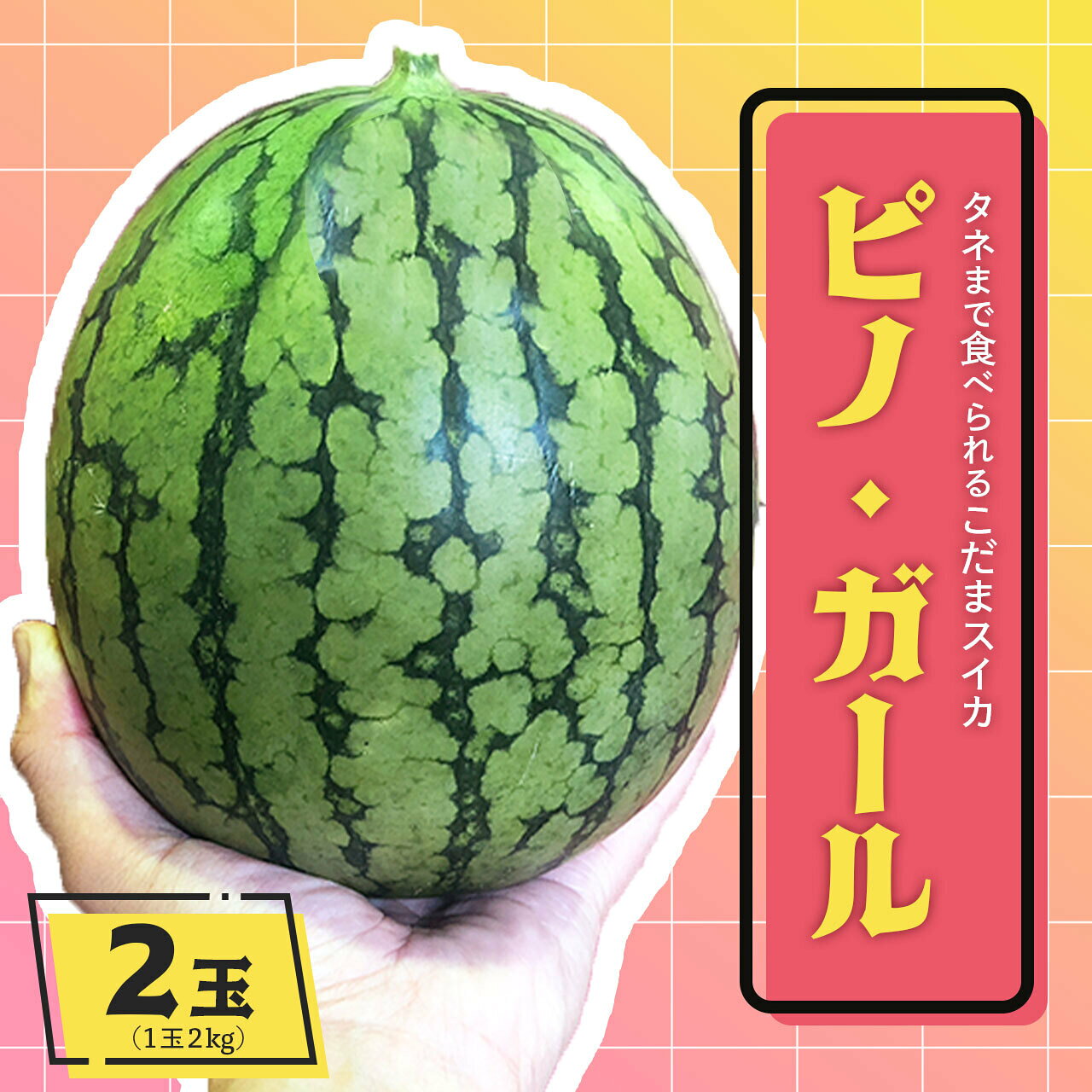こだま スイカ 「 ピノ・ガール 」 2玉 （ 約2kg × 2玉 ） | スイカ すいか 西瓜 夏 鹿児島県 大崎町 人気 フルーツ 果物 くだもの