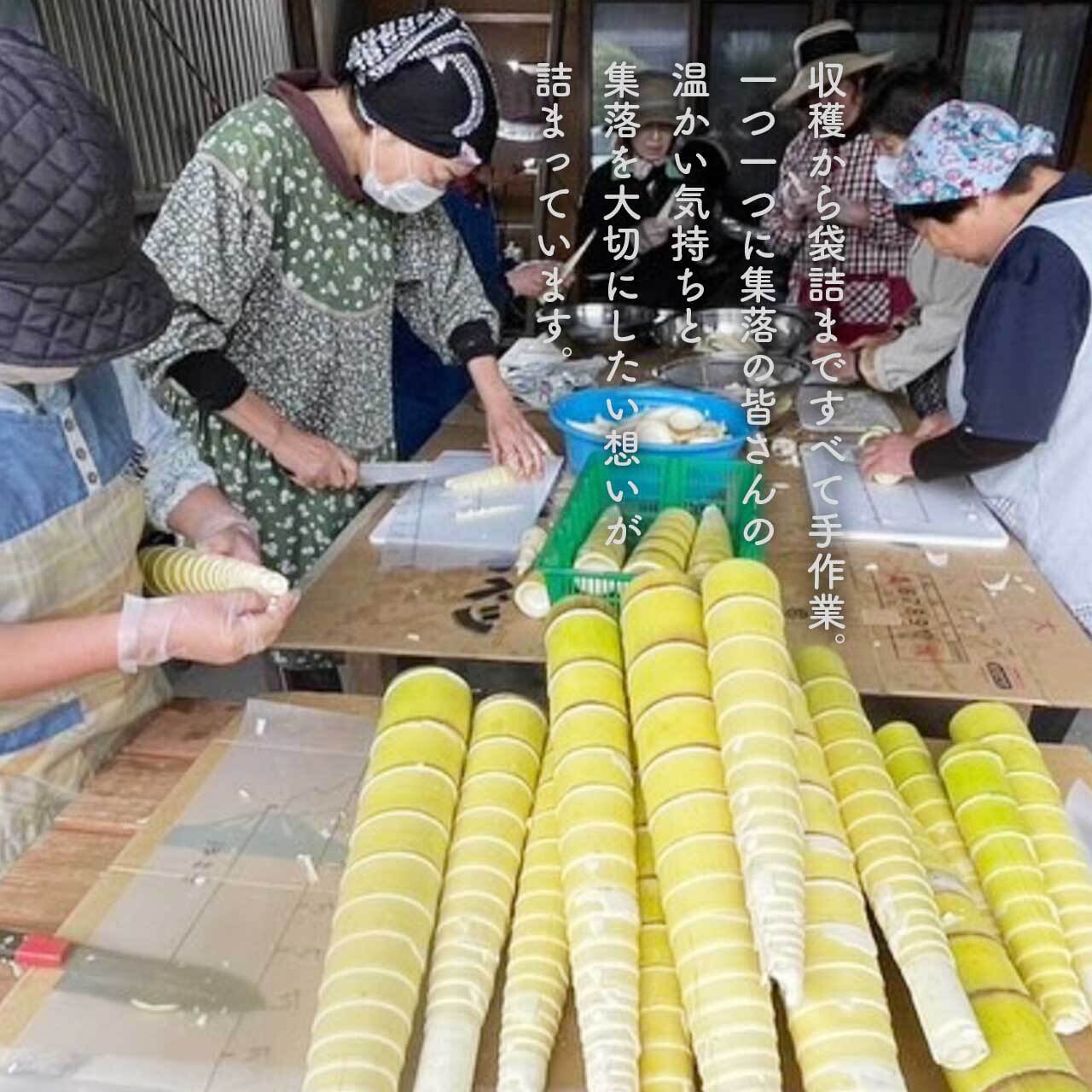 鹿児島県大崎町の画像3
