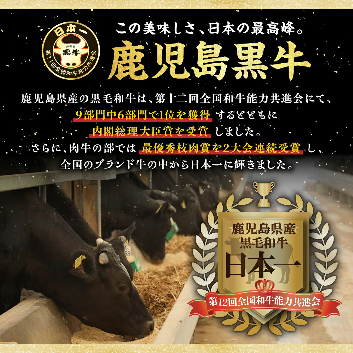 鹿児島県大崎町の画像2