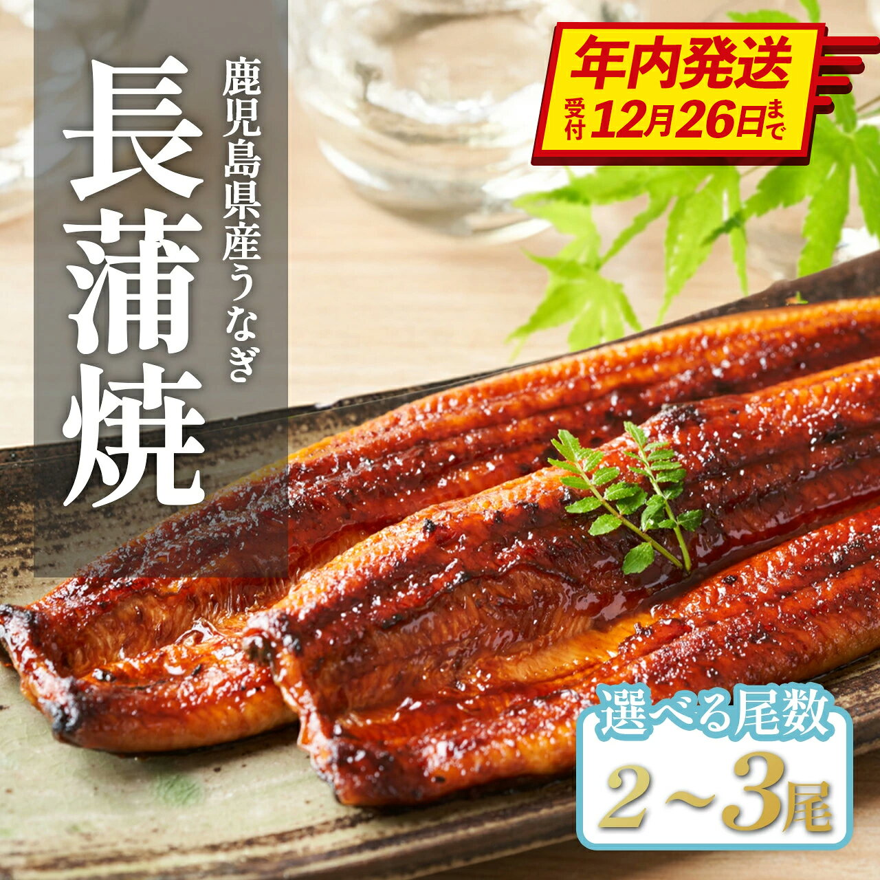 [年内発送] 国産 うなぎ長蒲焼 2尾 3尾 計320g以上 | 鰻 うなぎ ウナギ 国産 大崎町 蒲焼 蒲焼き 土用の丑の日 うな重 ひつまぶし たれ 鹿児島 国産うなぎ 特産品 鰻蒲焼 支援 国産鰻 うなぎ蒲焼き うなぎ蒲焼 和田養鰻