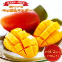 【ふるさと納税】鹿児島大崎べっぴんマンゴー 中2玉【先行予約...