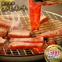 【ふるさと納税】たかしやセット(焼肉)500g/1パック|セ