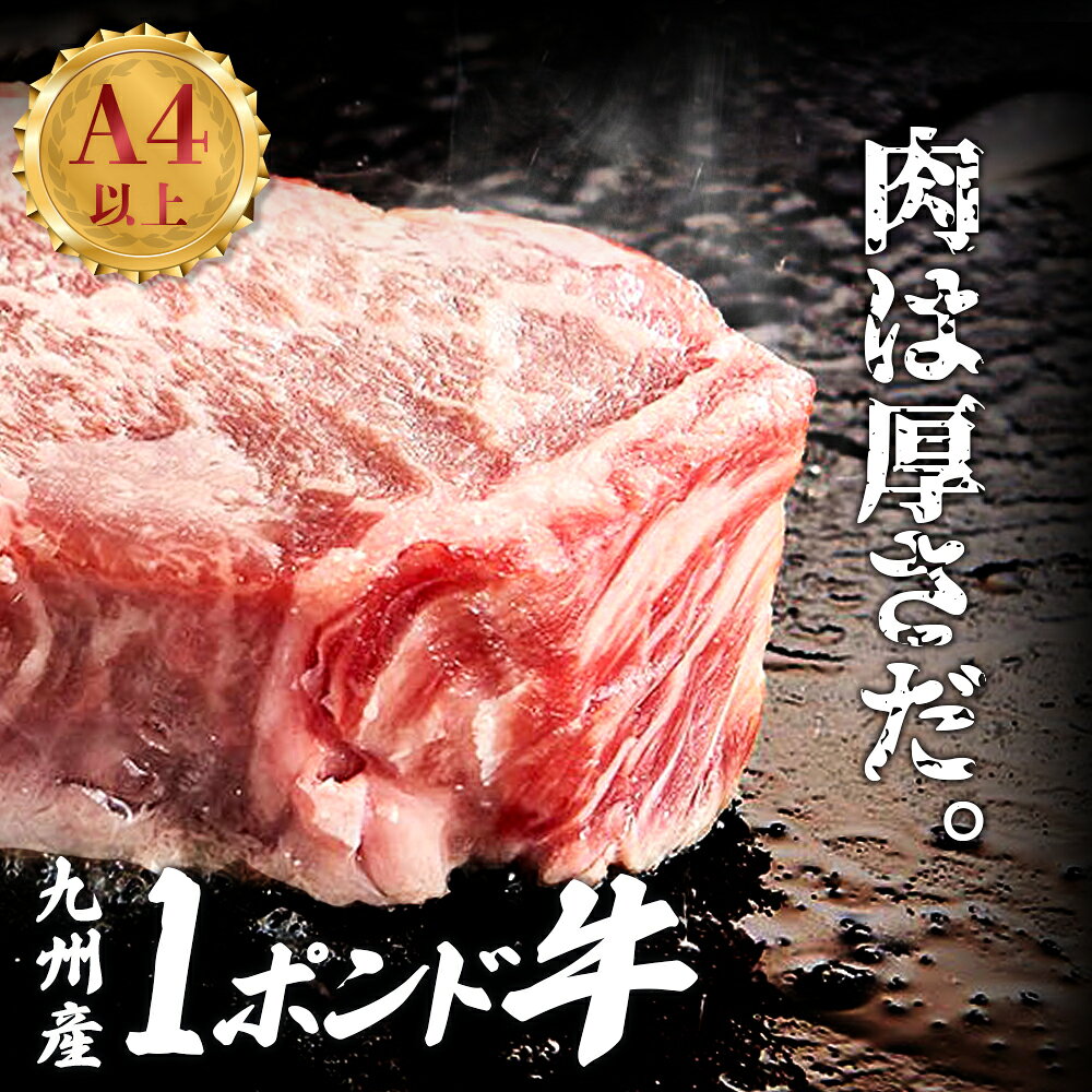 九州産 黒毛和牛 サーロインステーキ （ 4等級 以上 ） 1ポンド ！ | 肉 お肉 豚肉 豚 スライス セット 詰め合わせ 焼肉 鹿児島県大崎町 鹿児島県 大崎町 鹿児島 大崎 九州 九州産 お取り寄せ グルメ お取り寄せグルメ 取り寄せ ご当地