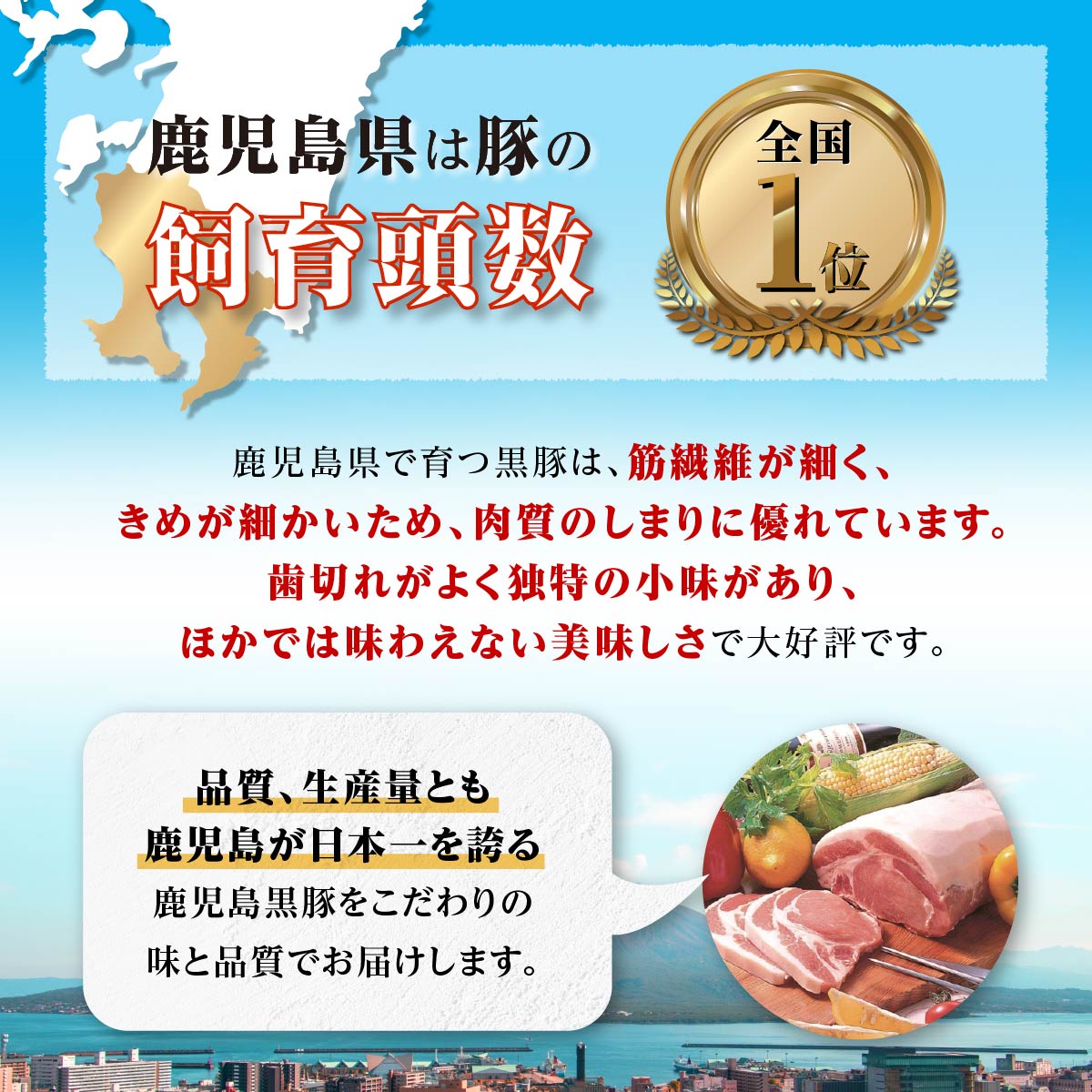 【ふるさと納税】 黒豚 ぎょうざ 12個 × 12パック 計144個 2.75kg | ふるさと納税 餃子 高級 ぎょうざ ギョウザ ギョーザ 黒豚餃子 ブランド豚 豚肉 肉 お肉 鹿児島 大崎町