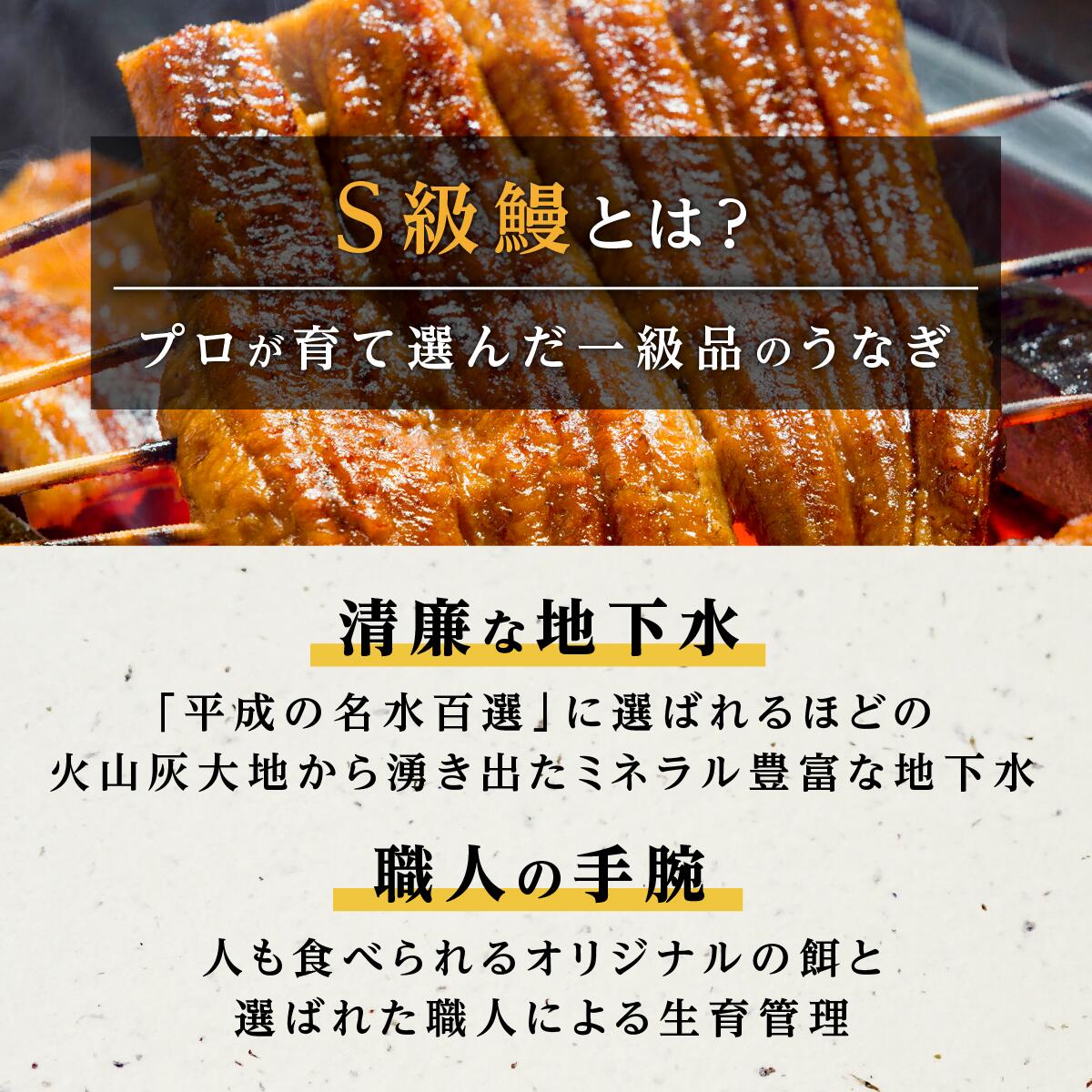 【ふるさと納税】 横山桂一さんのS級鰻 大 長蒲焼き 3尾 450g | ふるさと納税 うなぎ 高級 ウナギ 鰻 国産 蒲焼き 蒲焼 鹿児島 大隅 大崎町 ふるさと 人気 送料無料