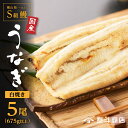 【ふるさと納税】【 数量限定 】 白焼き 5尾 横山桂一さん