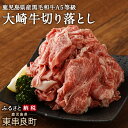 【ふるさと納税】鹿児島県産黒毛和牛 A5等級 大崎牛切り落と...