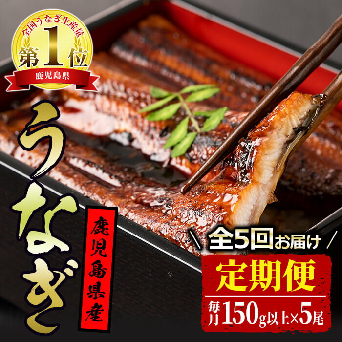 【ふるさと納税】＜定期便・全5回＞鹿児島県産！ミネラルたっぷりな地下水で育った鰻の蒲焼(無頭)(150g以上×5尾　タレ・山椒付)×5ヶ月【アクアおおすみ】【120803】