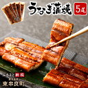 【ふるさと納税】大隅産 うなぎ 蒲焼 5尾 160g〜180...