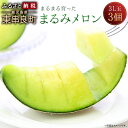 【ふるさと納税】2月発送 まるまる育ったまるみメロン 3L玉...