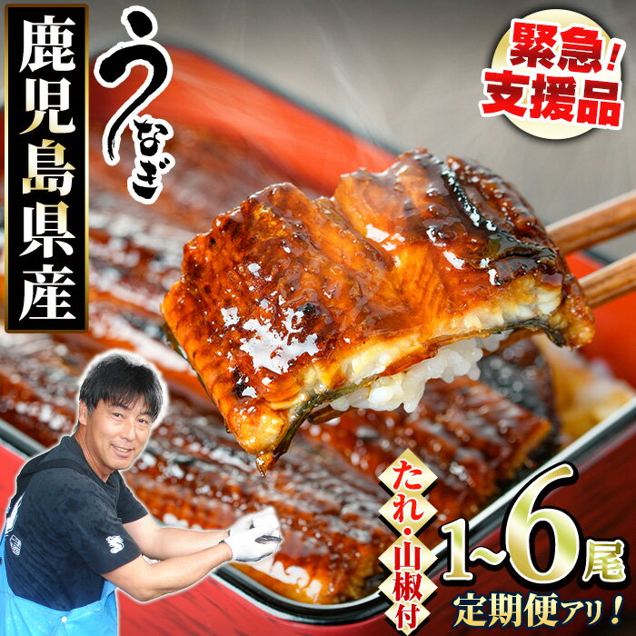 【ふるさと納税】《高評価★4.72獲得》【数量限定】＜定期便選べる＞東串良町のうなぎ蒲焼(無頭・タレ、山椒付)＜1尾～6尾 / 定期便・2尾×3回＞ 丑の日 ふるさと納税 うなぎ ふるさと ウナギ 鰻 蒲焼き 定期便 国産 九州産 鹿児島県産 人気 ランキング 【アクアおおすみ】