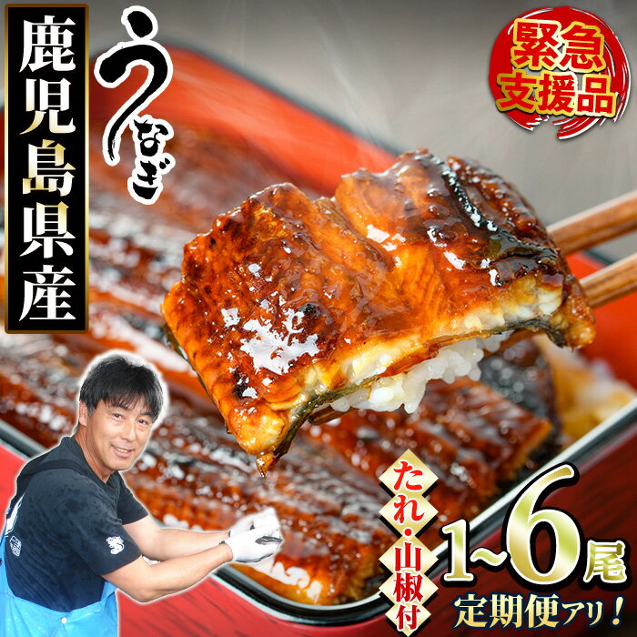 【ふるさと納税】《高評価★4.72獲得》【数量限定】＜定期便選べる＞東串良町のうなぎ蒲焼(無頭・タレ、山椒付)＜1尾～6尾 / 定期便・2尾×3回＞ ふるさと納税 うなぎ ふるさと ウナギ 鰻 蒲焼き 定期便 国産 九州産 鹿児島県産 人気 ランキング おすすめ 【アクアおおすみ】