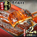 1位! 口コミ数「4,726件」評価「4.72」\高評価★4.72獲得!/総レビュー数4700件越え!<定期便選べる>東串良町のうなぎ蒲焼(無頭・タレ、山椒付)<1尾~2尾 / 定期便・2尾×3回> うなぎ 高級 ウナギ 鰻 国産 蒲焼き 定期便 ・・・
