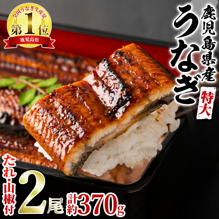 【ふるさと納税】＼高評価★4.88獲