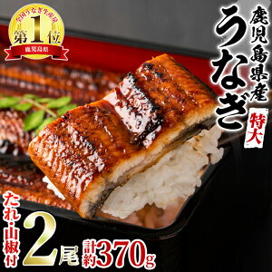 【ふるさと納税】\高評価★4.88獲得!/<特大>うなぎ蒲焼き(無頭)(2尾・計約370g・タレ、山椒付) うなぎ 蒲焼長焼 ウナギ 鰻 蒲焼き 国産うなぎ 国産 九州産 鹿児島 鹿児島県産 人気 ランキング 特大 高級 おすすめ たれ さんしょう 【アクアおおすみ】【0154302a】