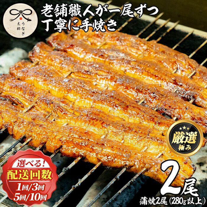 鹿児島県産東串良町のうなぎ蒲焼・秘伝のタレ付き[2尾・計280g以上/2尾・計280g以上×3回/2尾・計280g以上×5回/2尾・計280g以上×10回] うなぎ 高級 ウナギ 鰻 国産 蒲焼 蒲焼き たれ 鹿児島 定期便[うなぎ太郎]
