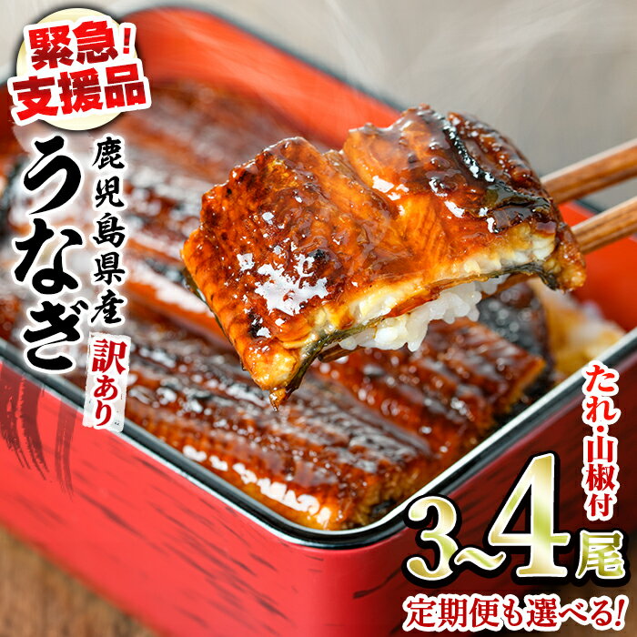 【ふるさと納税】【緊急支援品】＜容量が選べる＞＜訳あり＞鰻の