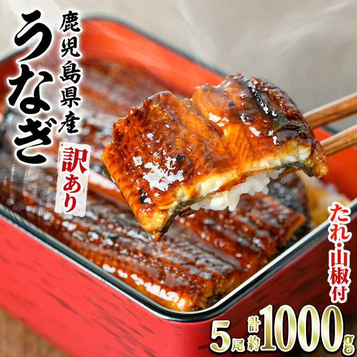 5位! 口コミ数「254件」評価「4.59」＼高評価★4.59獲得！／＜訳あり＞東串良町のうなぎ蒲焼(無頭)(5尾以上・計約1kg・タレ、山椒付) うなぎ 蒲焼長焼 ウナギ 鰻 蒲焼き 国産 九州産 鹿児島 鹿児島県産 人気 ランキング 高級 ･･･ 