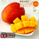 【ふるさと納税】鹿児島県産 南国の恵み まるごと 冷凍 完熟...