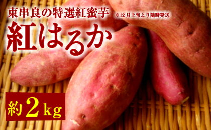 東串良の特選紅蜜芋紅はるか 2kg
