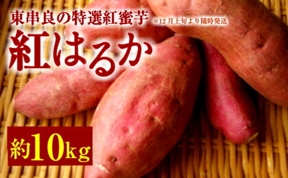 東串良の特選紅蜜芋紅はるか 10kg