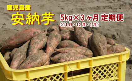 3ケ月定期(11・12・1月)コース 東串良の濃密安納芋 5kg