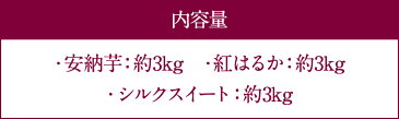 【ふるさと納税】農家直送の贈り物 サツマイモ欲張り3種 9kgセット 各約3kg さつまいも サツマイモ 安納芋 シルクスイート 紅はるか 焼芋 ヤキイモ 国産 九州産 芋 いも 送料無料