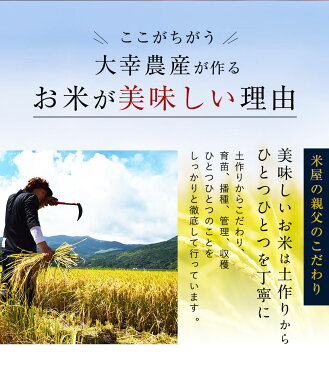 【ふるさと納税】30年産！米しか作らない親父が丹精込めて育てた なつほのか 10kg(5kg×2袋) 米 無洗米 鹿児島産 九州産 送料無料