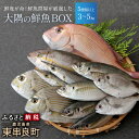 【ふるさと納税】鮮度が命!鮮魚問屋が厳選した「大隅の鮮魚BO