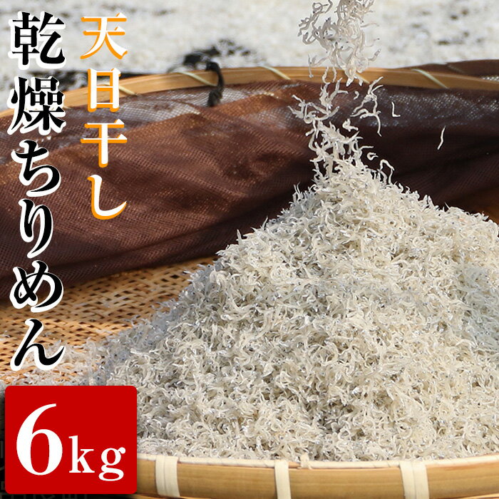 【ふるさと納税】天日干し乾燥ちりめん6kg！かむほどに味わい深いちりめんはお茶漬けやふりかけに♪【楠正水産有限会社】【100403】