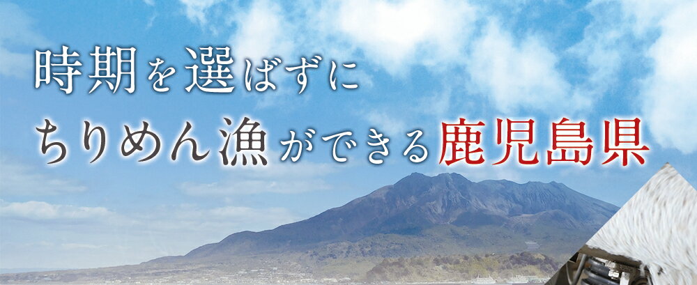 【ふるさと納税】天日干し乾燥ちりめん1kg！かむほどに味わい深いちりめんはお茶漬けやふりかけに♪【楠正水産有限会社】【17402】